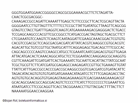 Xerocomellus pruinatus