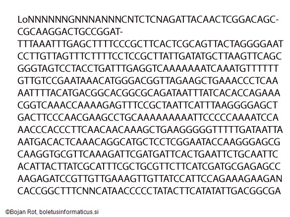Cuphophyllus pratensis