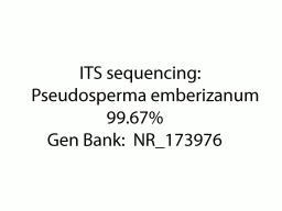 Pseudosperma emberizanum