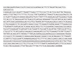 Cuphophyllus flavipes