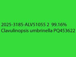 Clavulinopsis umbrinella