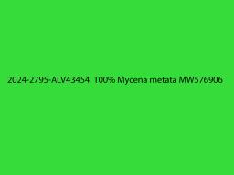 Mycena metata