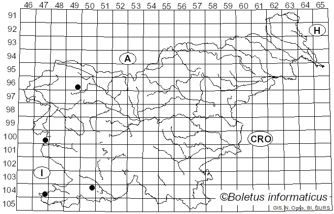 <i>Inonotus hastifer</i> Pouzar (1981)