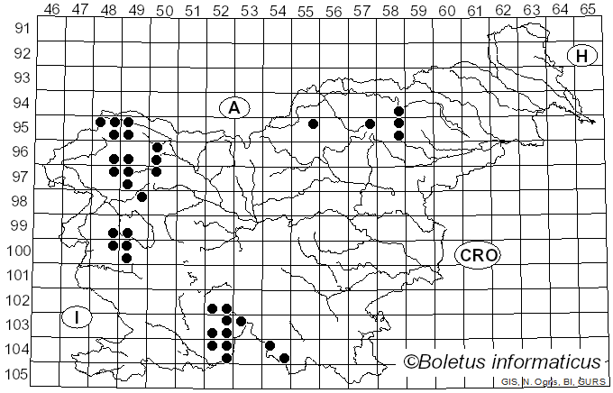 <i>Fuscidea</i> V. Wirth & Vezda (1972)