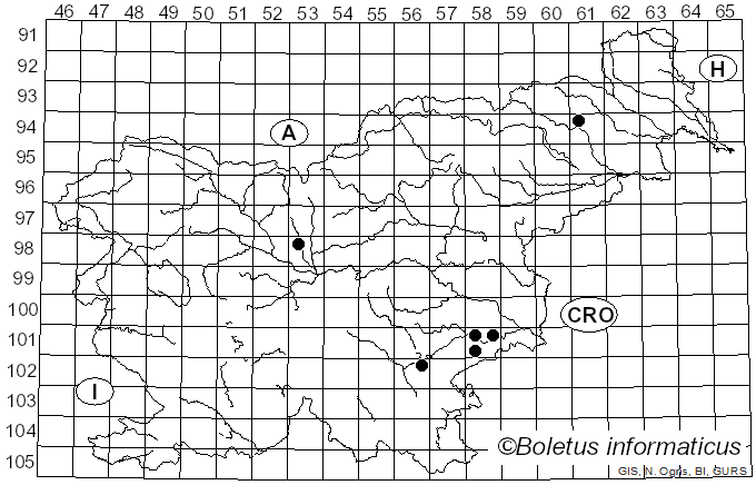 <i>Loweomyces</i> (Kotl. & Pouzar) Jülich (1982)
