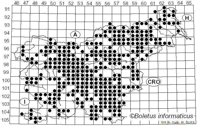 <i>Russula cyanoxantha</i> (Schaeff.) Fr. (1863)