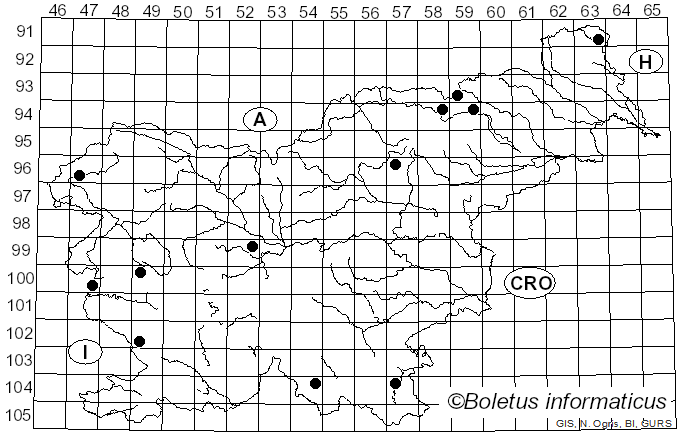 <i>Callistosporium</i> Singer (1944)