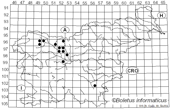 <i>Tolypocladium ophioglossoides</i> (J.F. Gmel.) C.A. Quandt, Kepler & Spatafora (2014)