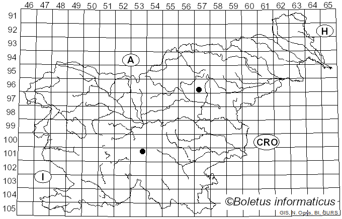 <i>Cuphophyllus borealis</i> (Peck) Bon (1985)