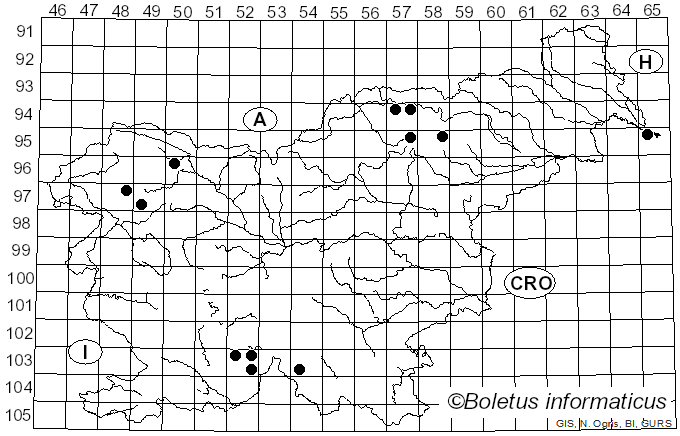 <i>Opegrapha viridis</i> (Ach.) Nyl. (1861)