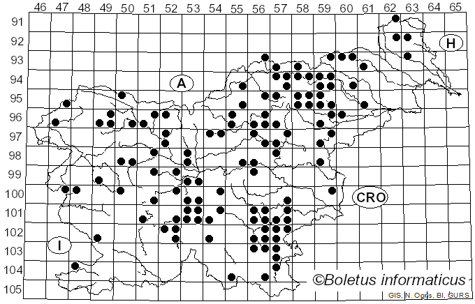 <i>Russula viscida</i> Kudrna (1928)