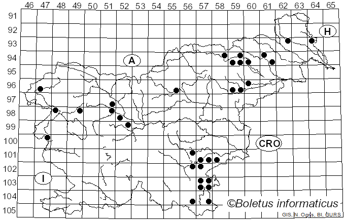 <i>Rheubarbariboletus</i> Vizzini, Simonini & Gelardi (2015)