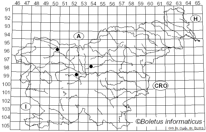 <i>Rosellinia pulveracea</i> f. <i>pulveracea</i> (Ehrh.) Fuckel (1870)