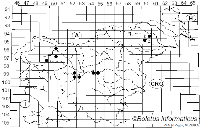 <i>Cylindrosporium</i> Grev. (1822)