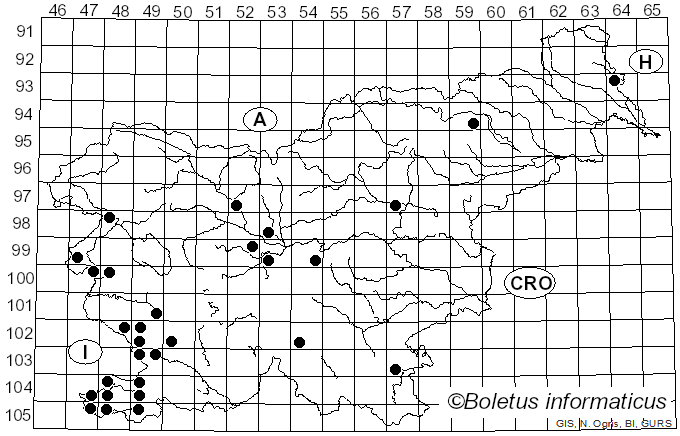 <i>Amanita ovoidea</i> (Bull.) Link