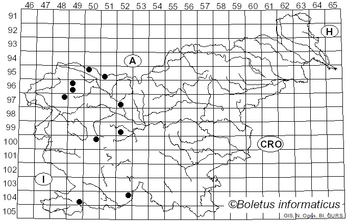 <i>Scaeva selenitica</i> Meigen (1822)
