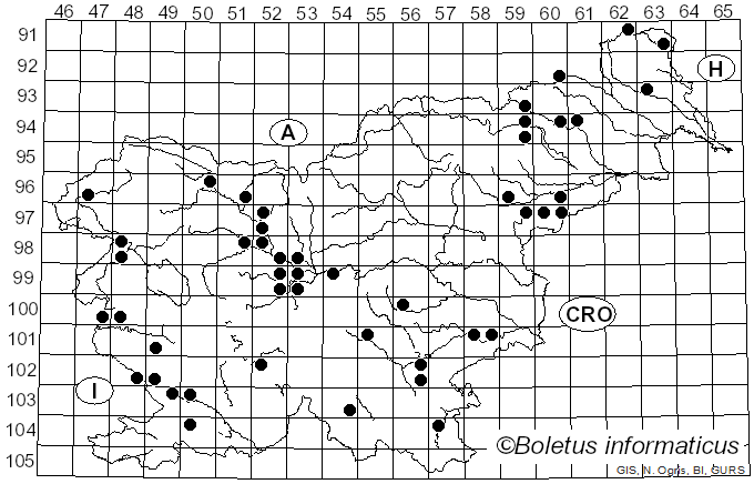<i>Peniophora quercina</i> (Pers.) Cooke (1879)