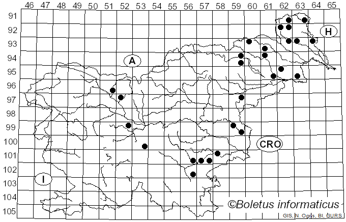 <i>Metuloidea fragrans</i> (A. David & Tortic) Miettinen (2016)