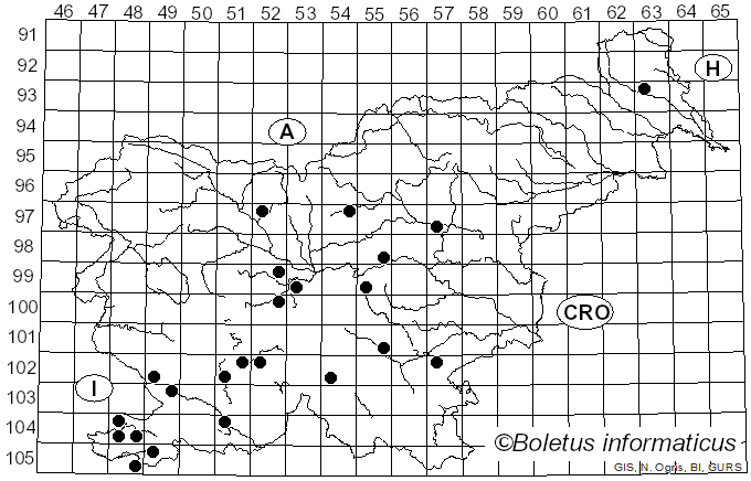 <i>Rubroboletus lupinus</i> (Fr.) Costanzo, Gelardi, Simonini & Vizzini (2015)