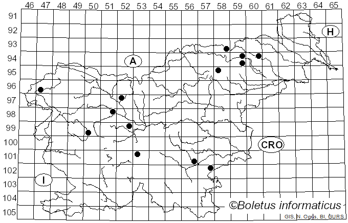 <i>Cortinarius umbrinolens</i> P.D. Orton (1980)