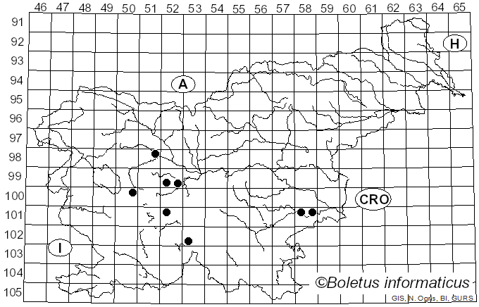 <i>Temnostoma</i>