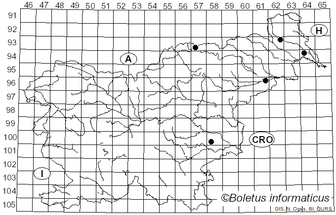 <i>Caliroa</i> Costa (1859)
