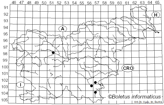 <i>Ramaria intimorosea</i> Schild & Vrščaj (1992)