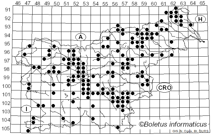 <i>Tricholoma sciodes</i> (Pers.) C. Martín (1919)