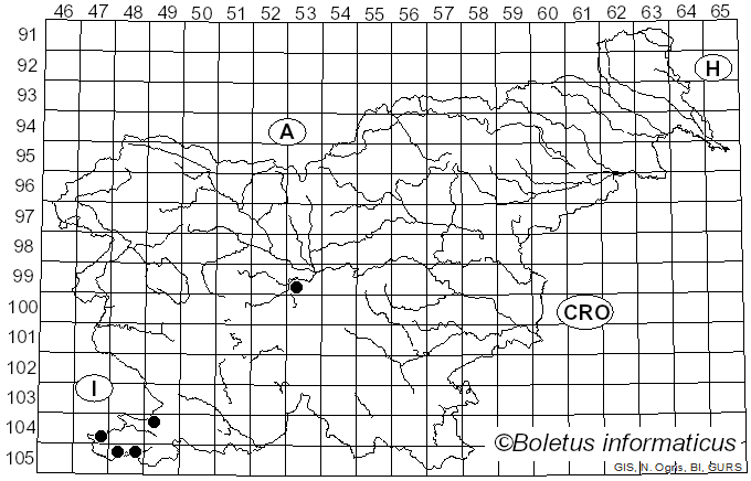 <i>Cellulariella warnieri</i> (Durieu & Mont.) Zmitr. & Malysheva (2014)