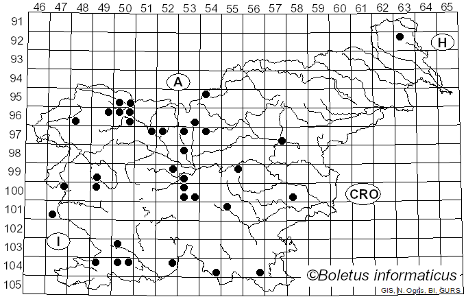 <i>Trichia</i> Haller (1768)