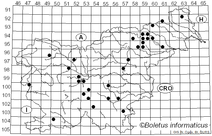 <i>Phaeocollybia lugubris</i> (Fr.) R. Heim (1931)