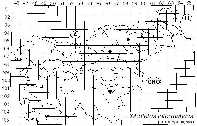 <i>Myosoton</i> Moench