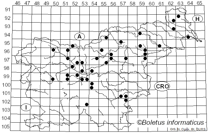 <i>Gyromitra esculenta</i> (Pers.) Fr. (1849)