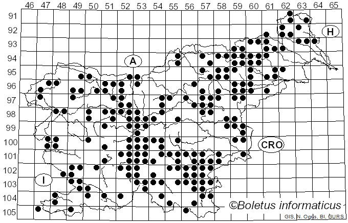 <i>Agaricus sylvicola</i> (Vittad.) Peck (1872)