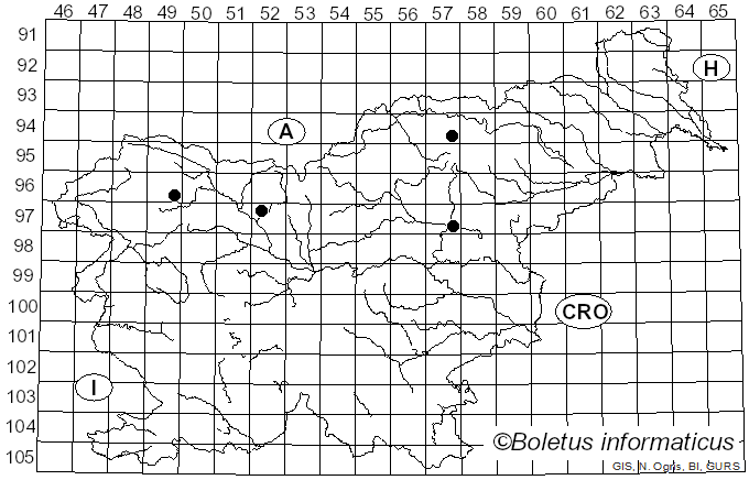 <i>Inocybe catalaunica</i> Singer (1947)