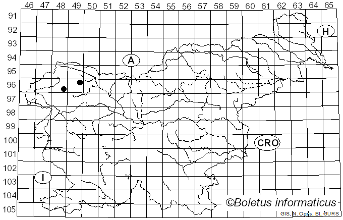 <i>Catapyrenium cinereum</i> (Pers.) Körb. (1855)