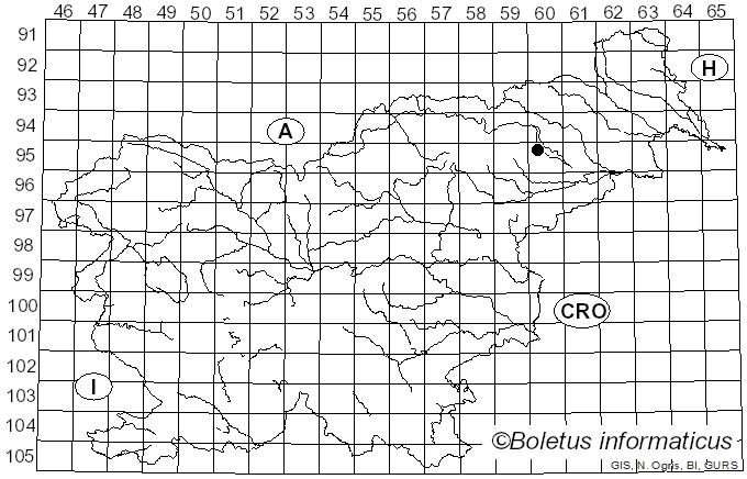 <i>Mycena albidolilacea</i> Kühner & Maire (1938)