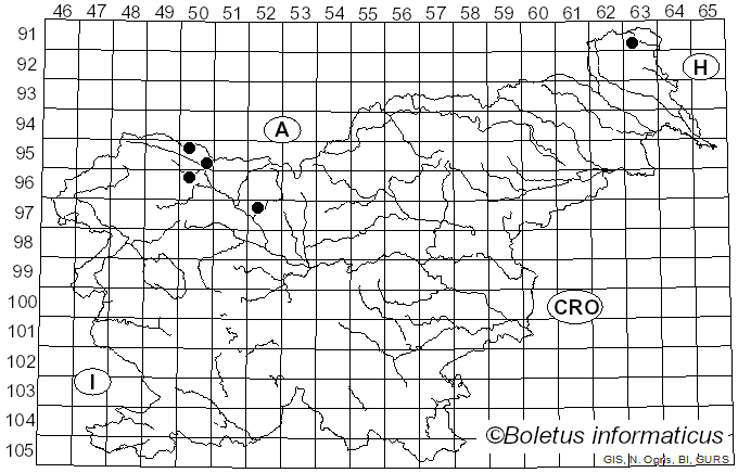 <i>Eristalis nemorum</i> Linnaeus (1758)