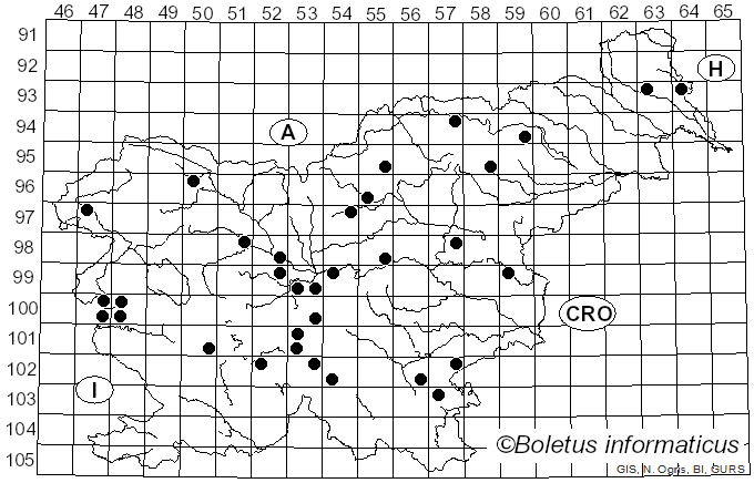 <i>Cotylidia pannosa</i> (Sowerby) D.A. Reid (1965)