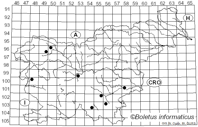<i>Radulomyces confluens</i> (Fr.) M.P. Christ. (1960)
