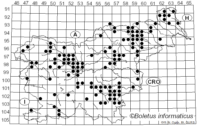 <i>Ampulloclitocybe clavipes</i> (Pers.) Redhead, Lutzoni, Moncalvo & Vilgalys (2002)