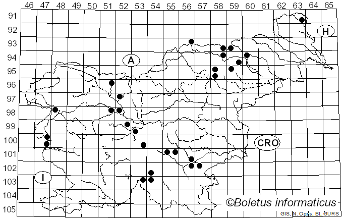 <i>Cortinarius cinnamomeoluteus</i> P.D. Orton (1960)