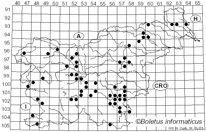 <i>Amanita echinocephala</i> (Vittad.) Quél. (1872)