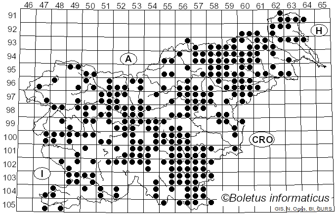 <i>Trametes gibbosa</i> (Pers.) Fr. (1838)