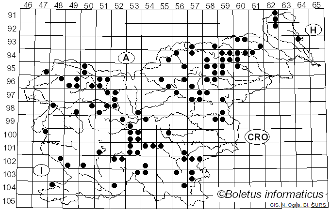 <i>Cortinarius varius</i> (Schaeff.) Fr. (1838)