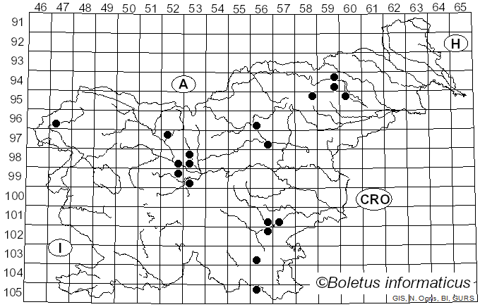 <i>Tricholomopsis ornata</i> (Fr.) Singer (1943)