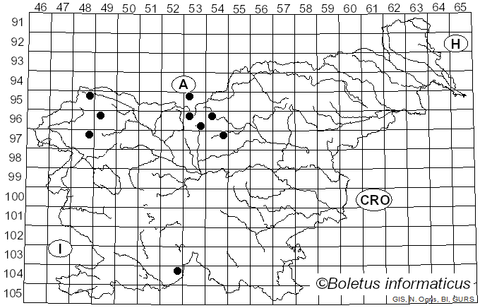 <i>Cheilosia rhynchops</i> Egger