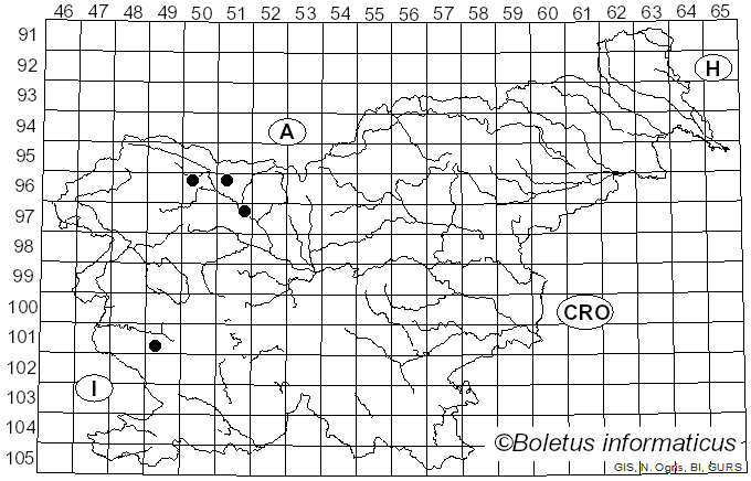 <i>Byssocorticium atrovirens</i> (Fr.) Bondartsev & Singer (1944)