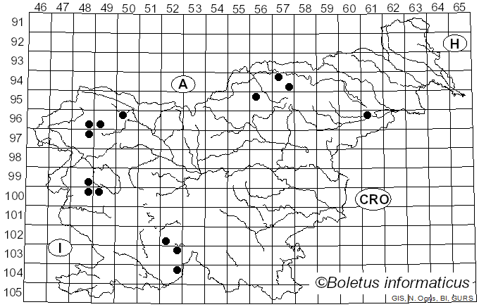<i>Lecania</i> A. Massal. (1853)