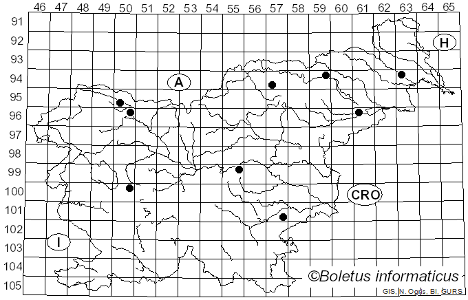 <i>Botryosphaeria visci</i> (Kalchbr.) Arx & E. Müll. (1954)